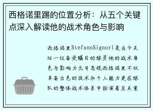 西格诺里踢的位置分析：从五个关键点深入解读他的战术角色与影响